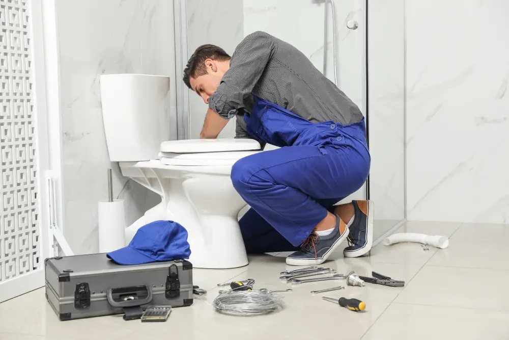 Toilet Repair in Riverview
